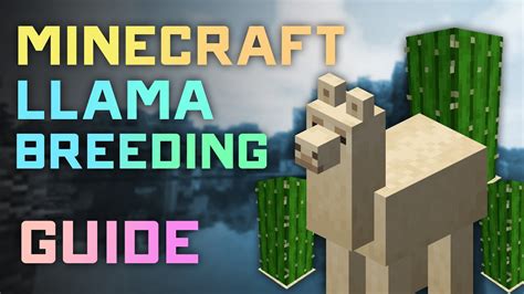 How to tame & breed Llamas in Minecraft .